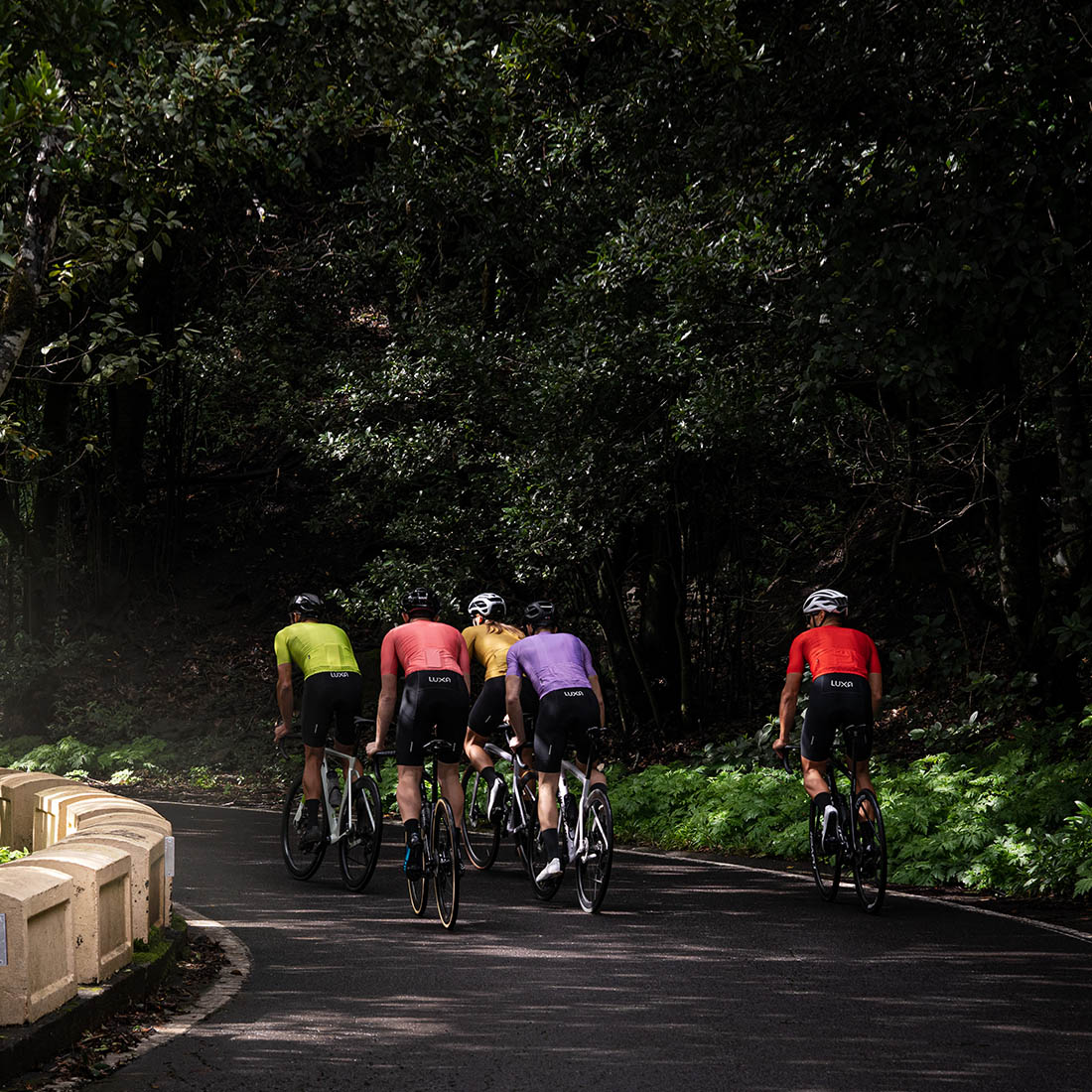 bunch of Luxa cyclists riding in awesome clean forest in Anaga